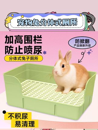 养兔兔总为乱拉头疼?这款分体式大号兔厕救大命!大容量能装,侏儒兔、龙猫用着都宽敞~分体设计拆洗超方便,尿盆便盆分开清理不费劲,放兔笼里稳稳当当不侧翻,从此笼子干干净净,主子如厕也舒适自在~ #宠物兔用品 #兔子厕所 #龙猫用品 #养宠好物 #萌宠好物