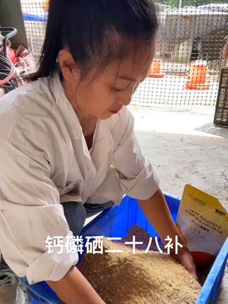 #自家养殖 #家禽养殖 #农村养殖 #我的养殖生活 #鸡鸭鹅