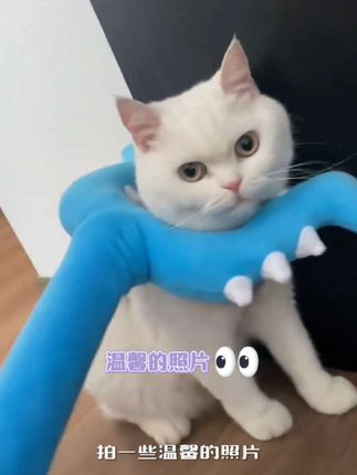 【艺凡】chiikawa吉伊卡哇小八吉伊乌萨奇逗猫毛绒讨伐棒拍照配件#讨伐棒 #好物推荐🔥 #好东西一起分享 #礼物