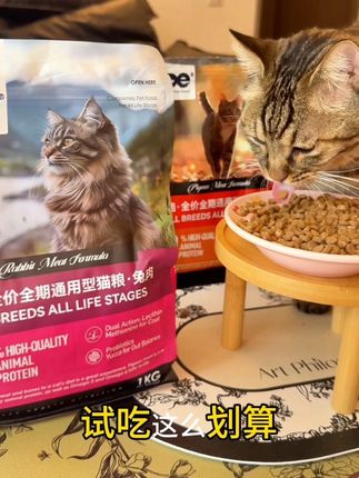 烘焙粮试吃这么划算 谁还买正装啊!还是85%动物蛋白的烘焙粮 到手1KG这价格真的香啊!#烘焙猫粮 #ODE猫粮 #猫咪主粮 #养猫必备 #猫粮
