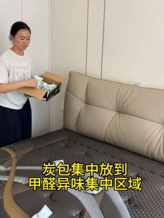 新房装修之后担心甲醛异味的可以试试这款家用活性炭包#好物推荐🔥 #新房除甲醛 #除甲醛 #活性炭