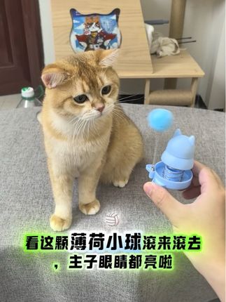 猫咪薄荷球,磨牙自嗨两不误#养猫 #猫薄荷 #猫玩具 #猫咪磨牙棒 #养猫好物