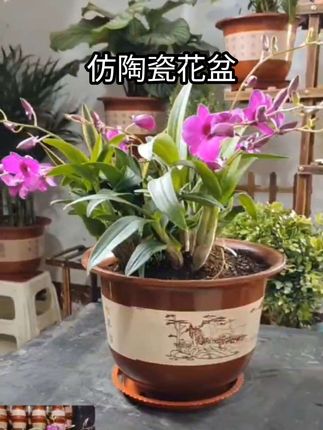 # 透气花盆 # 花盆# 养花人的乐趣 # 阳台养... #透气花盆 #结实耐用 #质量杠杠的好 #超便宜超划算 #花盆推荐