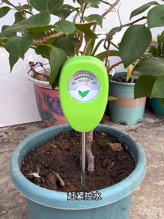 #土壤湿度水分测量仪#养花小知识 #爱生活爱养花