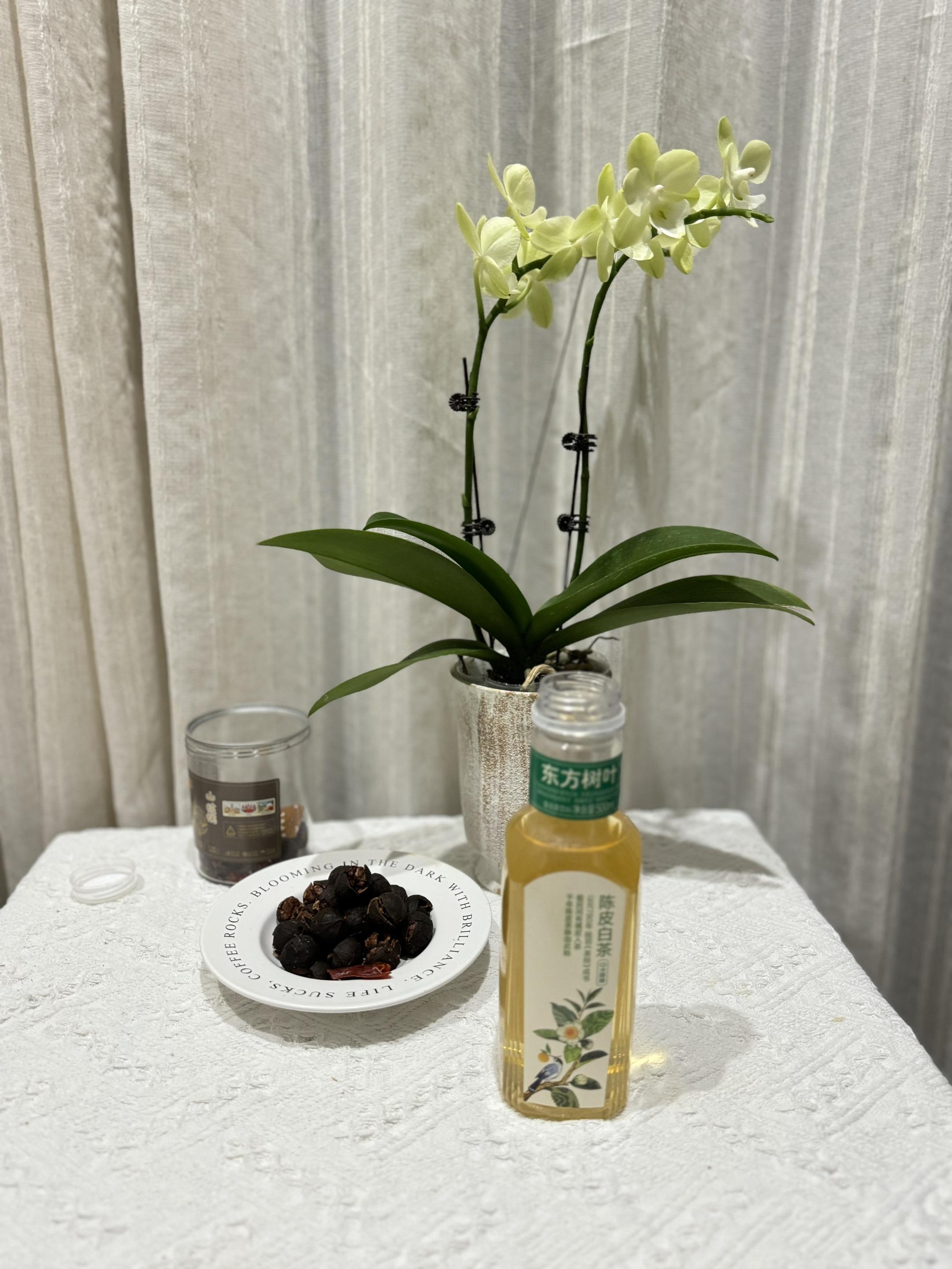 家人们 谁懂啊 这个陈皮白茶配辣味核桃#有点上头 #快乐水 #上热搜