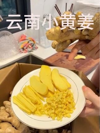 早晚温差大,所以种出来的小黄姜姜味更加浓郁#云南小黄姜 #小黄姜#现挖现发 #高山种植 #云南特产