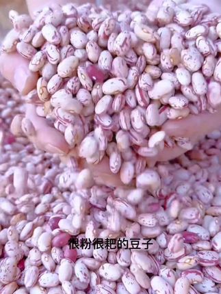 #雀蛋豆 贵州雀蛋豆,又名花芸豆,云贵川土特产,高山种植,粉糯香甜,小时候的味道,纯天然绿色食品,干货易保存,喜欢吃雀蛋豆的姐妹放心冲#农产品 #舌尖美味 #五谷杂粮 #绿色食品