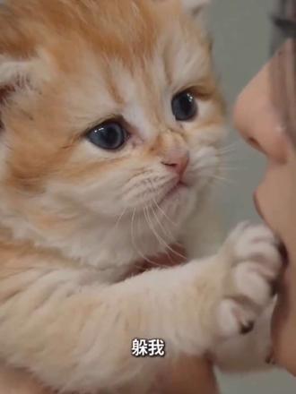 #AI墙角的专属告白 #随变ai随便玩 ,逗死我了