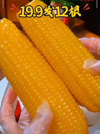 19. 9到手12根。 而且还都是#东北大棒黄糯玉米 🌽又大,又甜,又香糯!#糯玉米的营养价值 #软糯香甜 大人小孩都爱吃,太香了。#哇又便宜又好吃 #粗粮