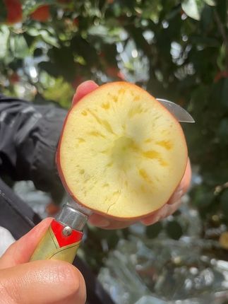 一早起来给大家来波诱惑力,点击左下角小黄车快快选购吧