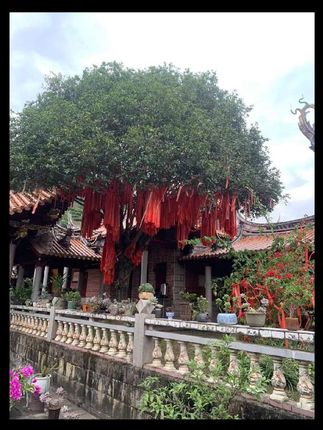 #张予曦毕雯珺真拍了红裙抱 #张予曦的定妆魔法 #深情眼 #毕雯珺 #张予曦毕雯珺