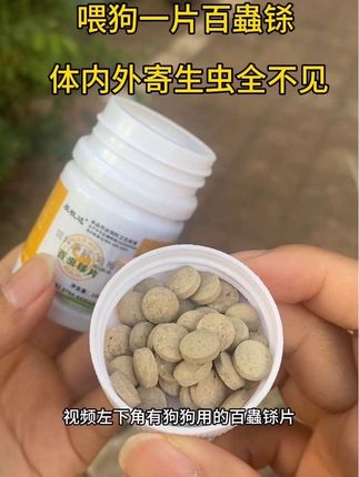 #猫狗驱虫
