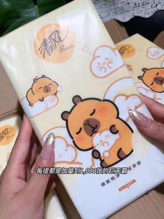 本来也不缺纸的!可清风联名卡皮巴啦的悬挂抽纸10提到手才这价!纸张嘎嘎有韧性!趁划算赶紧多囤点!#纸巾 #悬挂抽纸 #超便宜超划算 #清风 #生活用纸
