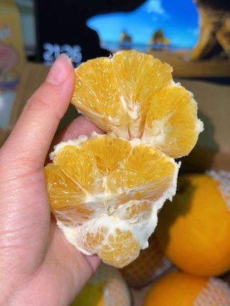 要准备开始吃脐橙了#水果 #应季水果 #赣南脐橙 #强烈推荐