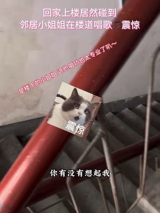 震惊了 没想到小姐姐唱的这么专业. #秋风又吹过