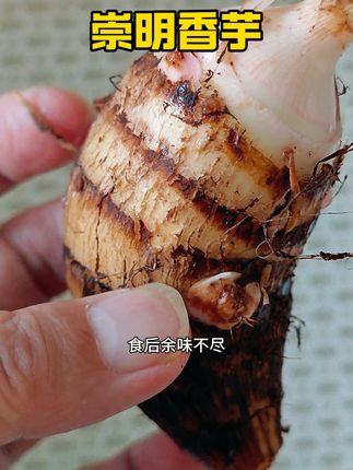 崇明香芋 #三农种植 #原创视频 #抖音新农人 #美食知识 #科普 味道好极了