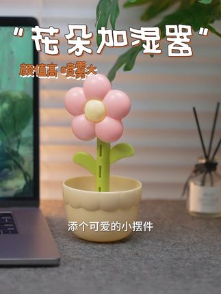 十几块钱就可以买一个颜值高的加湿器 太实用了#居家好物 #加湿器花朵