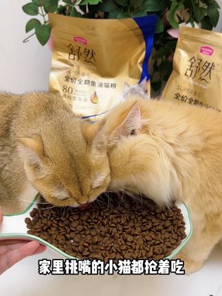 自从给我家猫吃的这款猫粮,掉毛减少了不说,还把我家猫吃的肥嘟嘟的,真的是爱掉毛又不长肉小猫的福星#猫粮推荐 #鱼油猫粮 #麦富迪