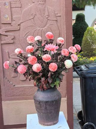 #高级感穿搭 #优雅气质 #时尚套装 #减龄气质 #这也太好看了