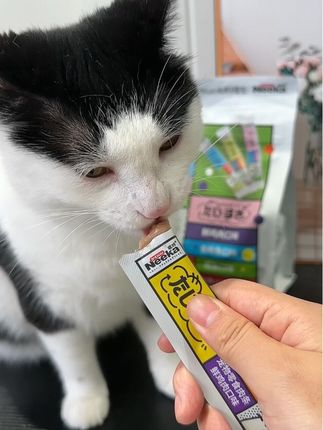 Neeka呢咔猫条零食猫条真肉真营养12g/支 100支/包#猫咪好物种草 #养猫新手 #科学养宠攻略 #萌宠好物 #宠物好物推荐