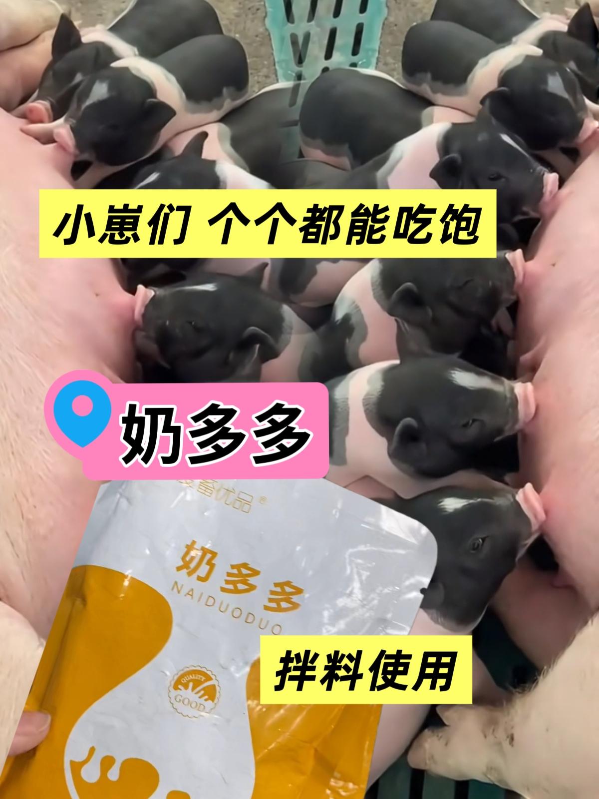 #养殖小知识 #养殖 #哺乳 #科学养殖 #哺乳动物