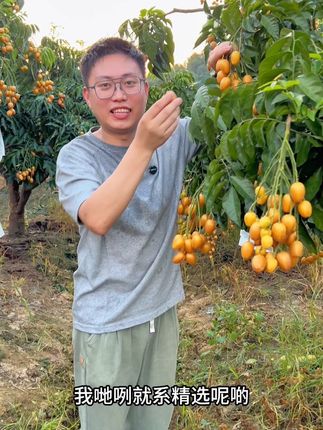 用郁南无核黄皮果做成的果干有吃过吗?口感口味 很独特!#家乡特产 #休闲零食