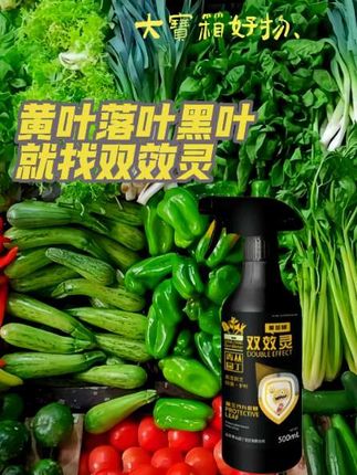 【拍2发4】黑金双效灵亮叶抑菌黄叶黑叶落叶花卉绿植直喷型园艺通用#春暖花开奔你而来 #植物养护技巧 #花卉养护 #花卉绿植 #科普