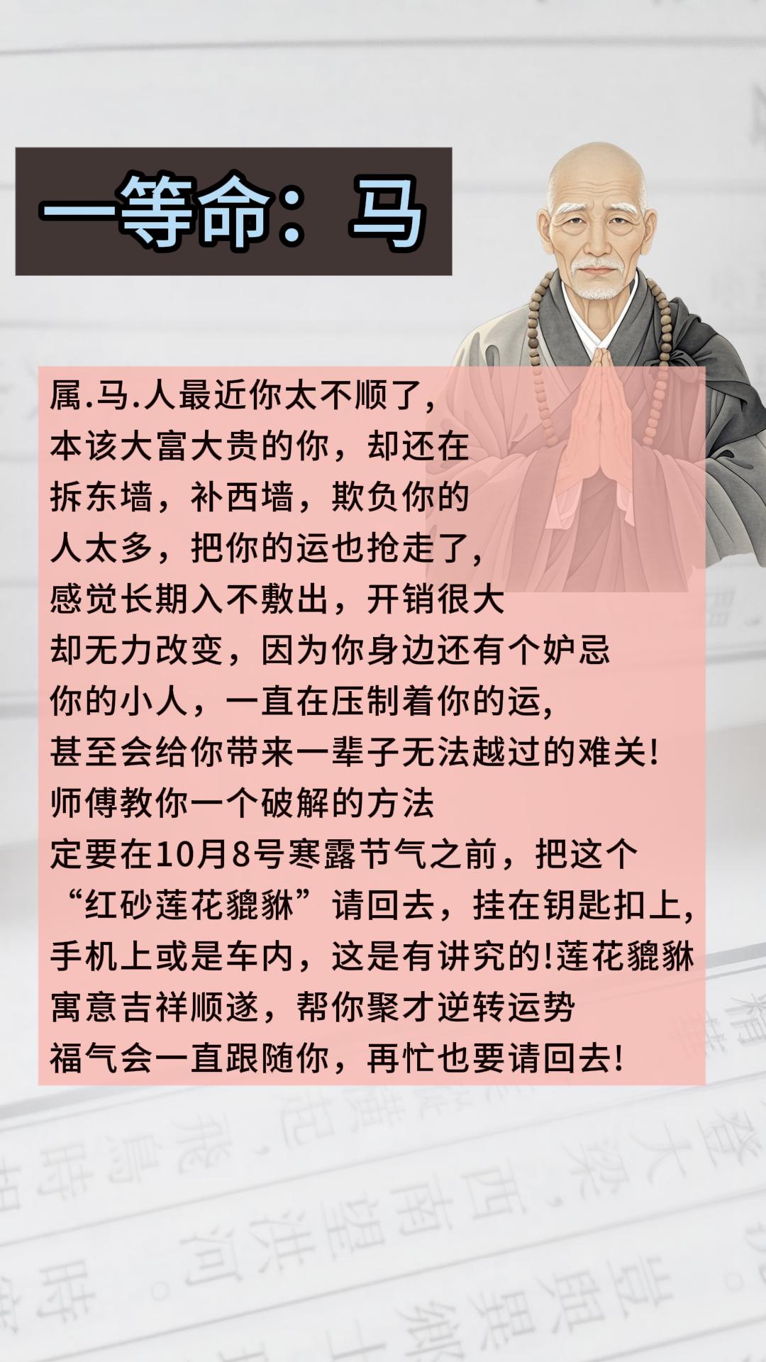 #马 #生肖马 #属马