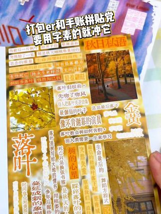天呐!要用字素这一本就足够了!各种异形字素 小配图全都有!居然还有触感膜哑膜亮膜三种! #贴纸 #字素贴纸 #手账 #贴纸本 #手帐贴纸