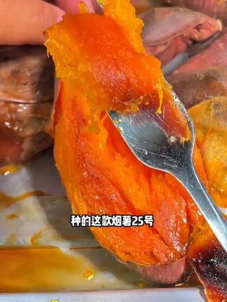 入口即化,香甜软糯,这就是烟台原产地密薯#烟薯25 #品质保证诚信为本 #农产品