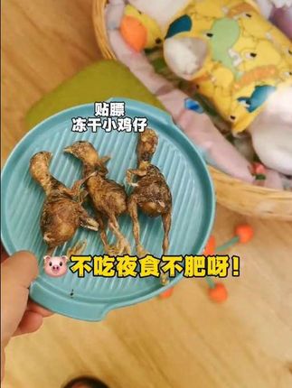 猪不吃夜食不肥呀!狗狗也一样! #法斗#宠物零食#萌宠好物#狗狗零食 #养狗经验分享