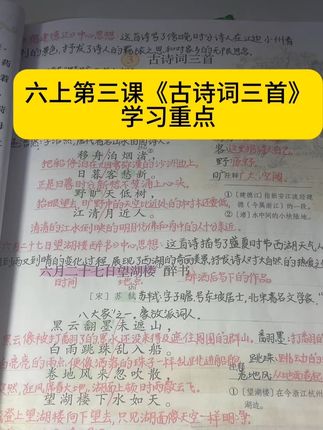 六上第三课《古诗词三首》学习重点。