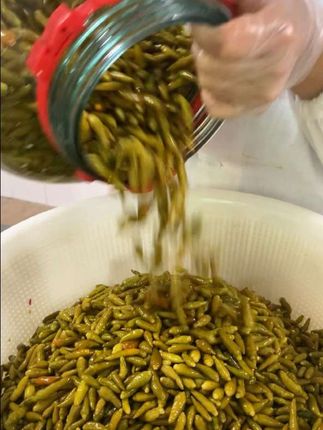 正宗海南当地小米椒,野生小米辣,新鲜辣椒#辣椒#海南小米辣#无辣不欢#辣椒酱#海南特产