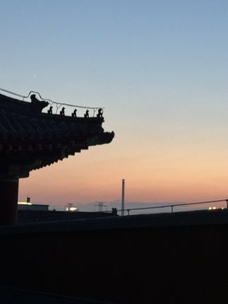 #日常分享 #好货推荐 #炫腹贴