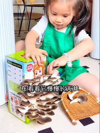 和孩子一起来种蘑菇吧,打开盒子,里面的袋子上划一个小口,每天喷三次水。我家孩子每天都要亲自给他们喷水,观察蘑菇生长情况,三到五天就长好了,采下来炒熟,孩子可喜欢吃了。#植物观察日记 #种蘑菇 #如何在家种蘑菇#diy蘑菇盒子#儿童礼物