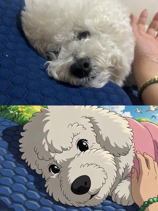 #万能的抖音 #狗是人类最忠诚的朋友 #宠物零食冻干