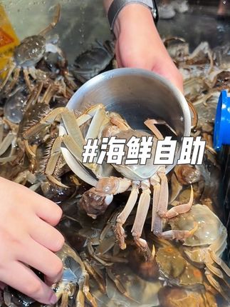 时代天街新开的海鲜自助,很鲜活补货速度快 #环璟海鲜自助 #重庆海鲜火锅 #重庆国庆比打卡 #抖音心动榜餐厅