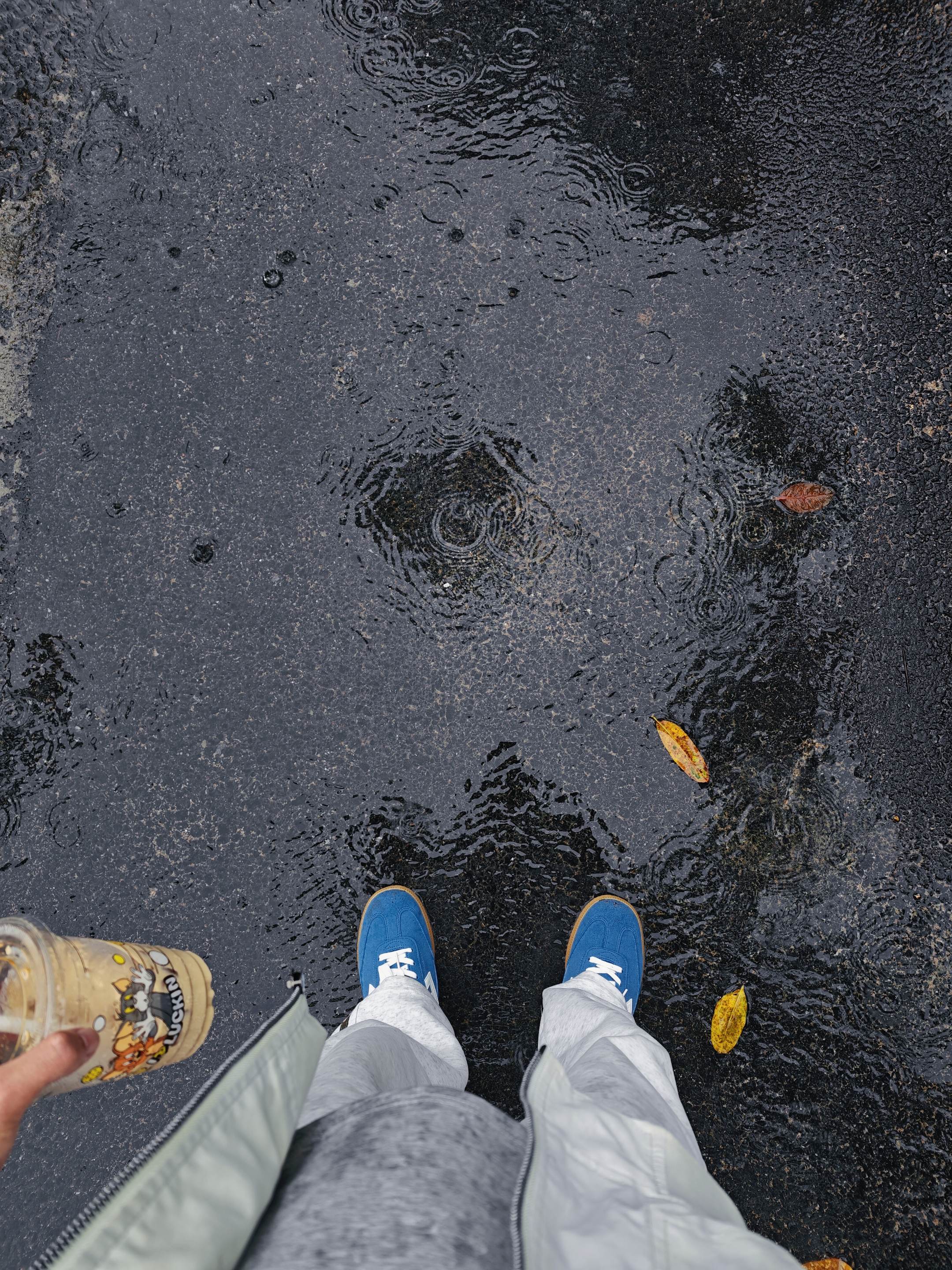 我给你的是一颗真诚又炽热的心 这句话对你来说可能并不珍贵 但我送给你