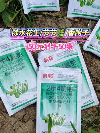 #二甲四氯 #三农种植 #好物推荐🔥 #水花生 #农民种地不容易