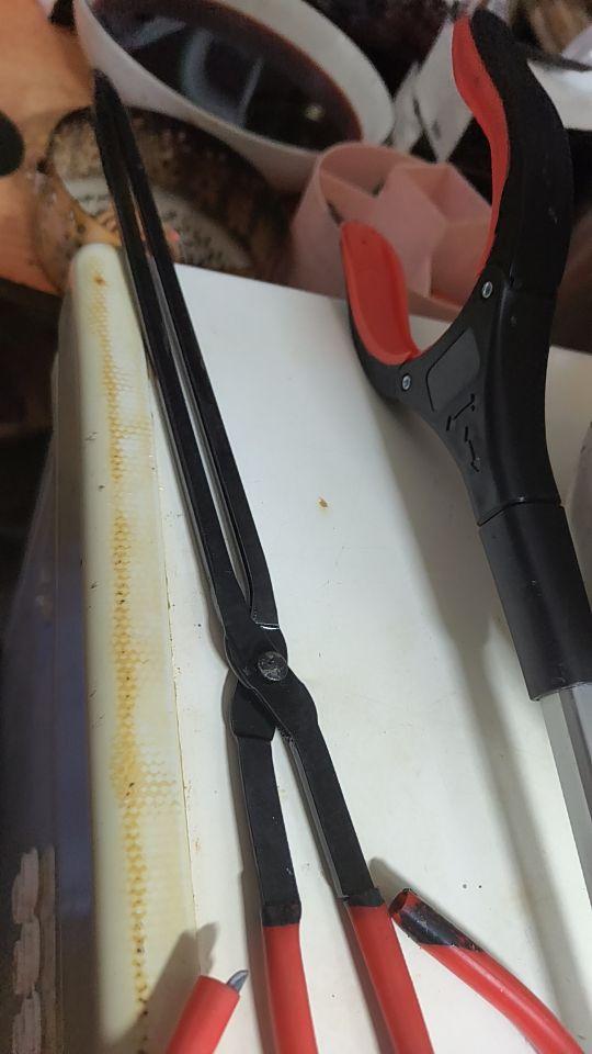 火钩子就是结实好用加碳真好用#我在抖音买买买