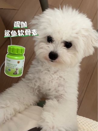 呵护狗狗骨骼健康,鲨鱼软骨素必须安排起来! #遛狗 #软骨素#宠物用品