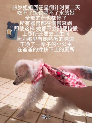 老爸好想一直照顾你 #是宠物更是家人