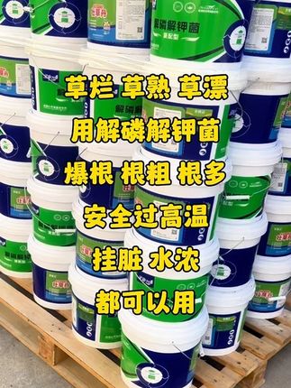 #螃蟹养殖 #鱼虾蟹养殖 #大闸蟹养殖 @DOU+上热门