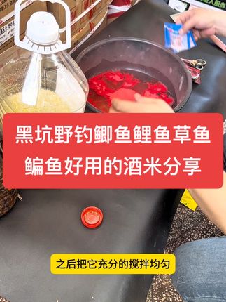 自制鲫鱼鲤鱼草鱼鳊鱼的酒米窝料和制作方法 #野钓鲫鱼鲤鱼 #酒米打窝 #窝料饵料的制作方法 #自制酒米窝料