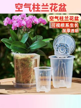 #好物分享 蝴蝶兰专用花盆透明控根塑料透气加厚兰花塑料花盆青山盆花盆家用#花盆 #实用工具 #农具用品 #园艺工具