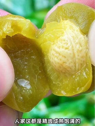 清脆爽口,酸爽多汁!#蜡笔小新 一大包脆青梅到手才这价格,酸酸脑袋一定不要错过啦!#快来一起尝个鲜 #脆青梅 #梅子 #无限回购的宝藏单品