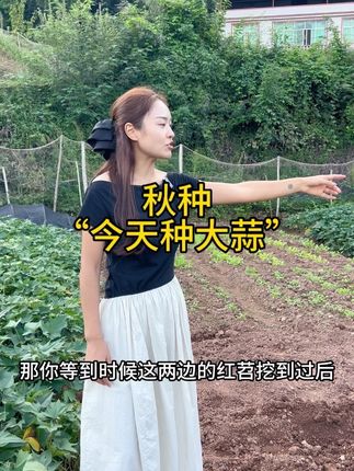 又到了秋种的季节,就要跟夏天说再见了,一家人齐心协力种大蒜,劳作后给家人来一碗面嗦嗦,满满的都是人间烟火气#我的乡村生活 #记录真实生活 #农村生活 #秋种