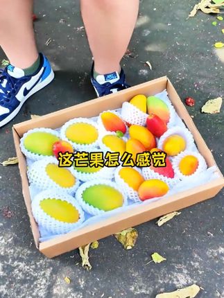 再也不用纠结买哪种! 攀枝花果园直配组合装,尝鲜价拿下俩顶流!#攀枝花芒果 #椰香芒果 #贵妃芒果 #四川 #椰香芒果
