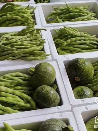 贵州老品种四季豆青棒豆#四季豆 #青棒豆 #贵州家乡味道 #优质农产品