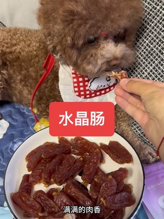 非常美味的水晶肠,一口下去全是肉,越嚼越香! #宠物零食 #家有馋狗 #狗零食